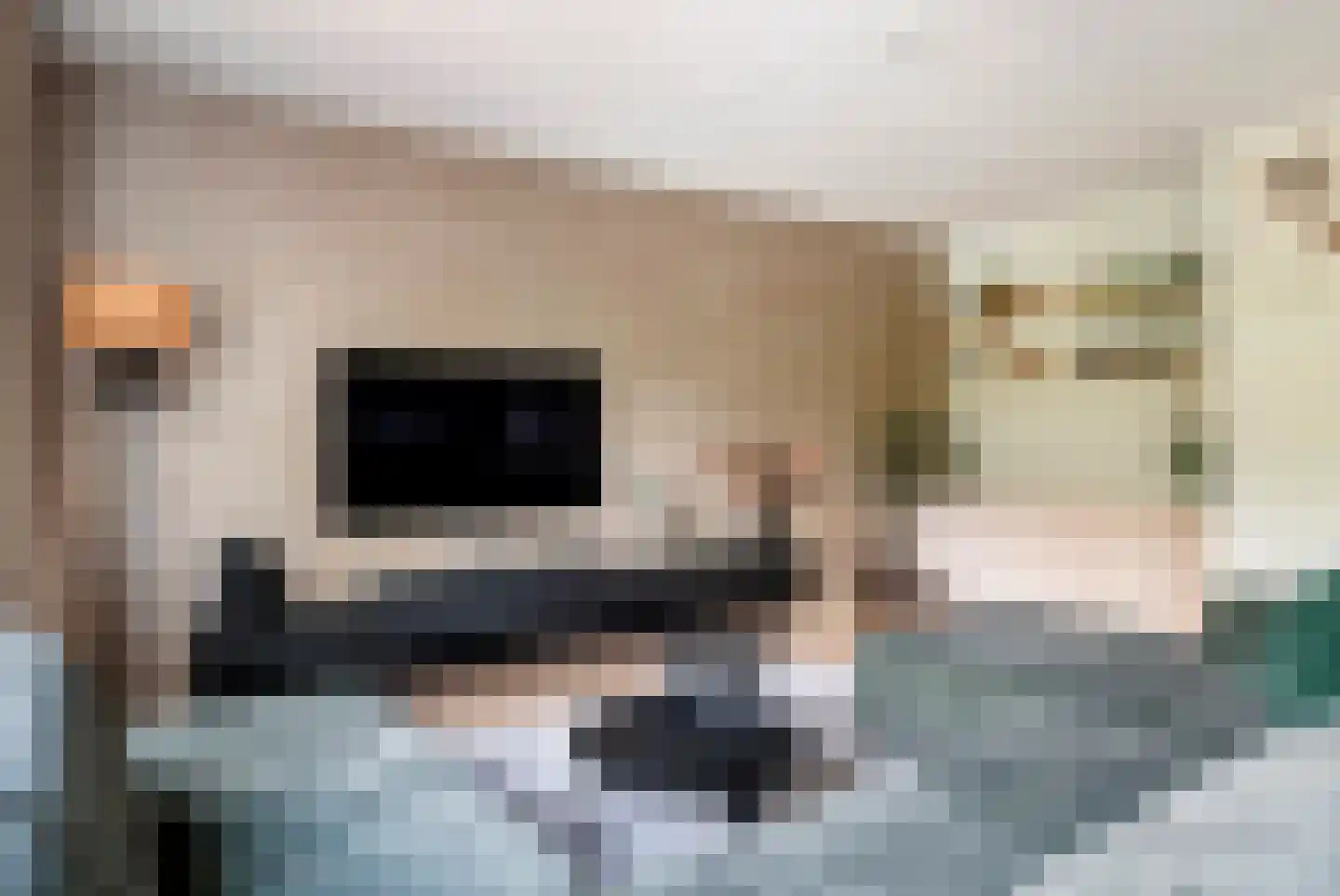 Weegbree 46 Veenendaal thumbnail 8