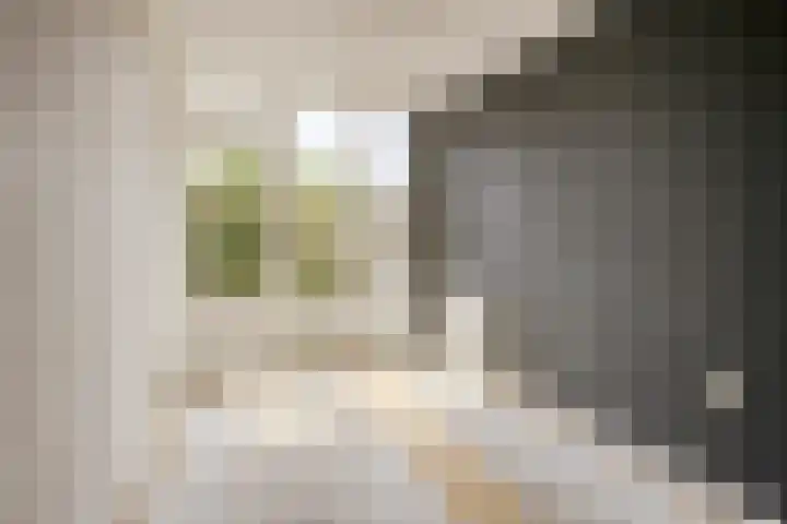 Weegbree 47 Nieuwleusen thumbnail 11
