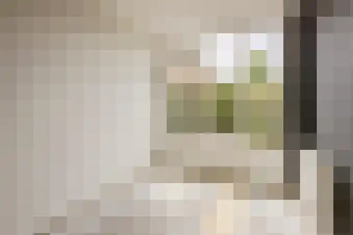 Weegbree 47 Nieuwleusen thumbnail 12