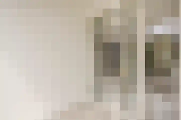 Weegbree 47 Nieuwleusen thumbnail 15