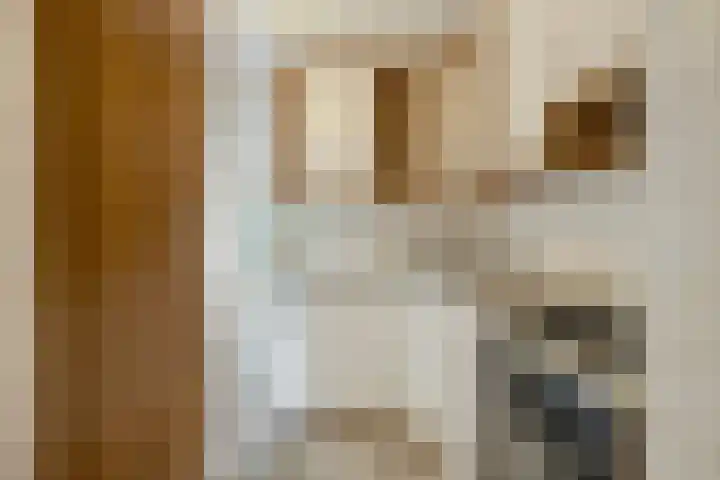 Weegbree 47 Nieuwleusen thumbnail 17