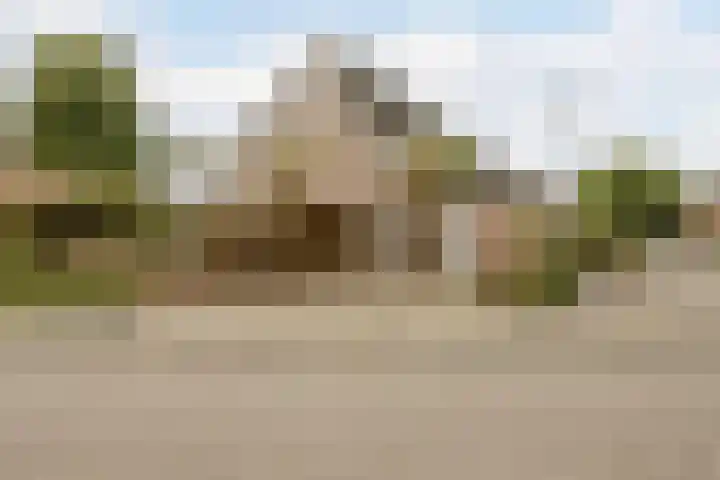 Weegbree 47 Nieuwleusen foto 2