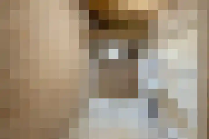 Weegbree 47 Nieuwleusen thumbnail 21