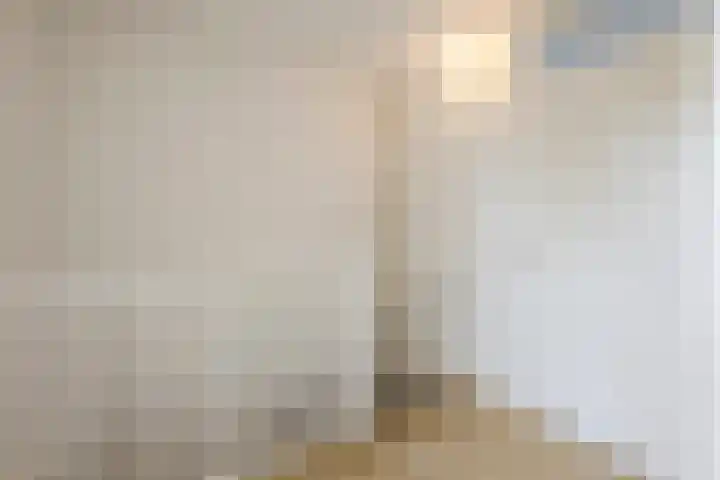 Weegbree 47 Nieuwleusen thumbnail 23