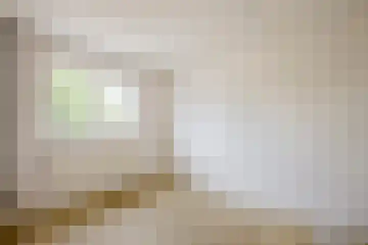 Weegbree 47 Nieuwleusen thumbnail 25