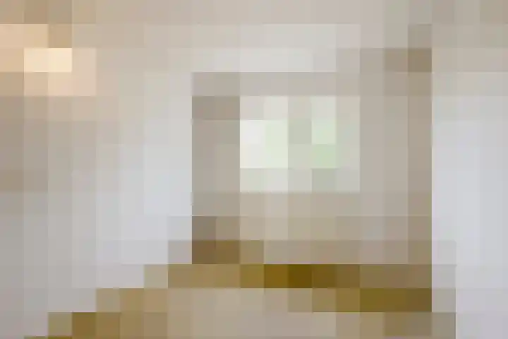 Weegbree 47 Nieuwleusen thumbnail 26