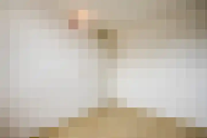 Weegbree 47 Nieuwleusen thumbnail 32