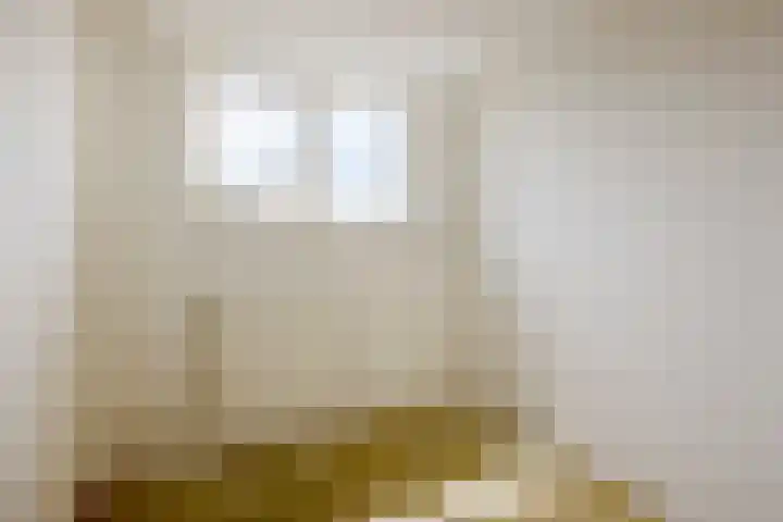 Weegbree 47 Nieuwleusen thumbnail 33