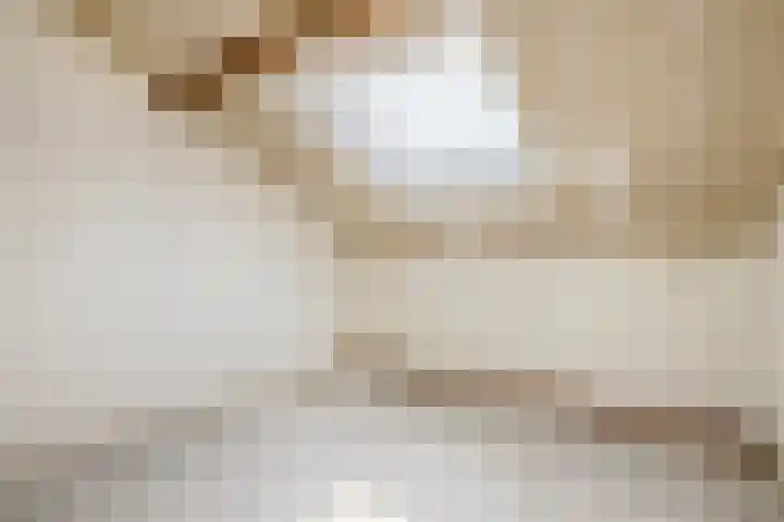 Weegbree 47 Nieuwleusen thumbnail 37
