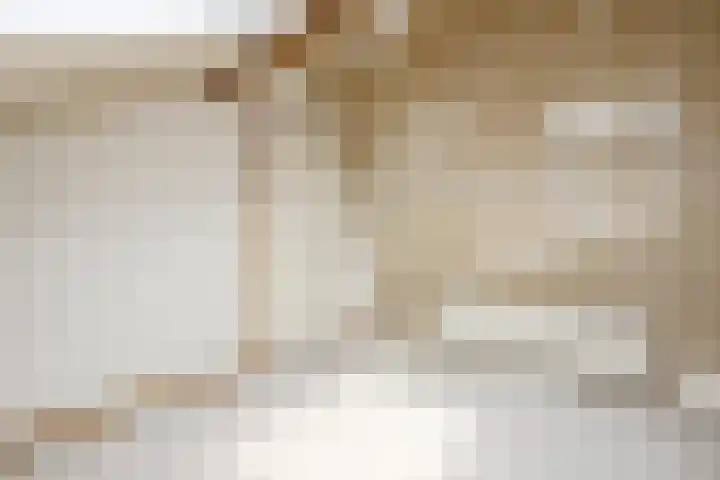 Weegbree 47 Nieuwleusen thumbnail 38