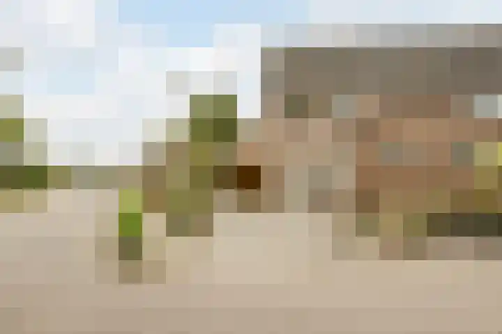 Weegbree 47 Nieuwleusen thumbnail 4