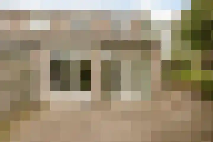 Weegbree 47 Nieuwleusen thumbnail 40