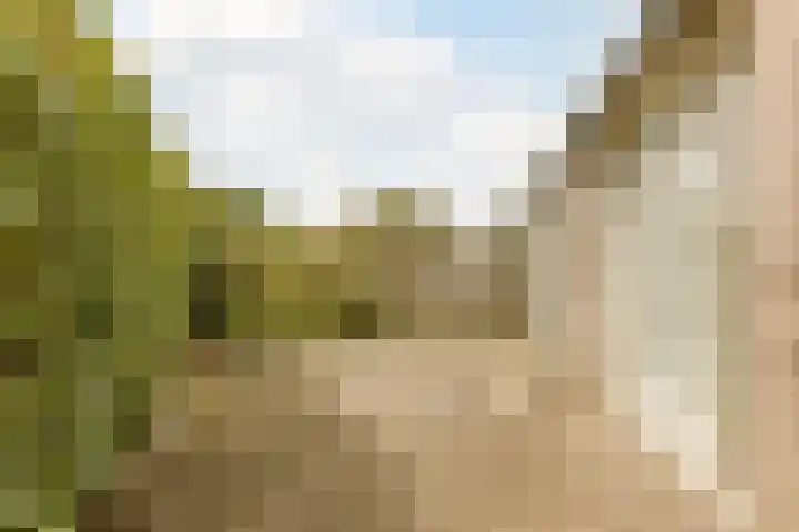 Weegbree 47 Nieuwleusen thumbnail 41
