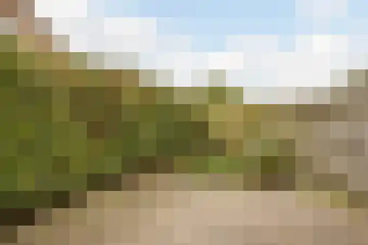 Weegbree 47 Nieuwleusen thumbnail 42