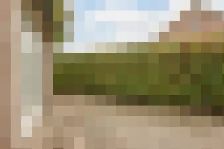 Weegbree 47 Nieuwleusen thumbnail 43