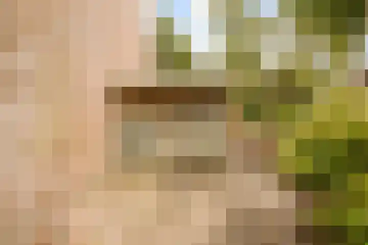 Weegbree 47 Nieuwleusen thumbnail 44