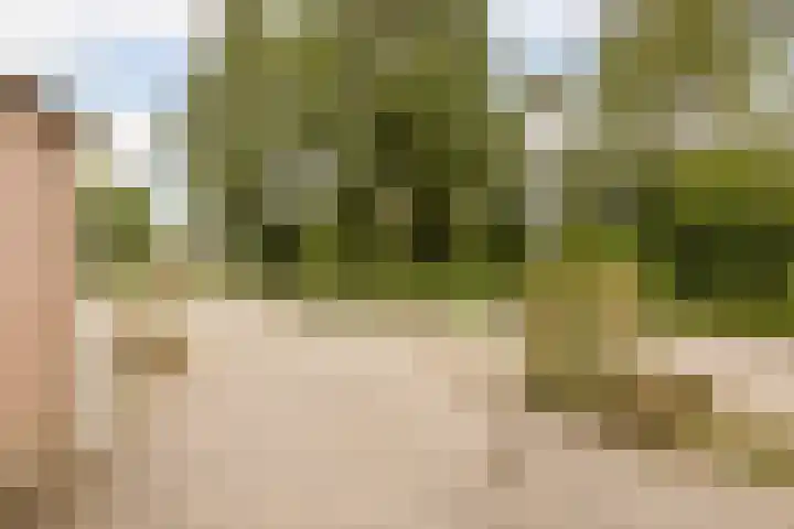 Weegbree 47 Nieuwleusen thumbnail 46