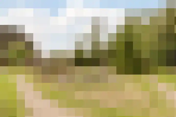 Weegbree 47 Nieuwleusen thumbnail 48