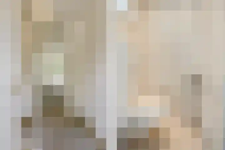Weegbree 47 Nieuwleusen thumbnail 8