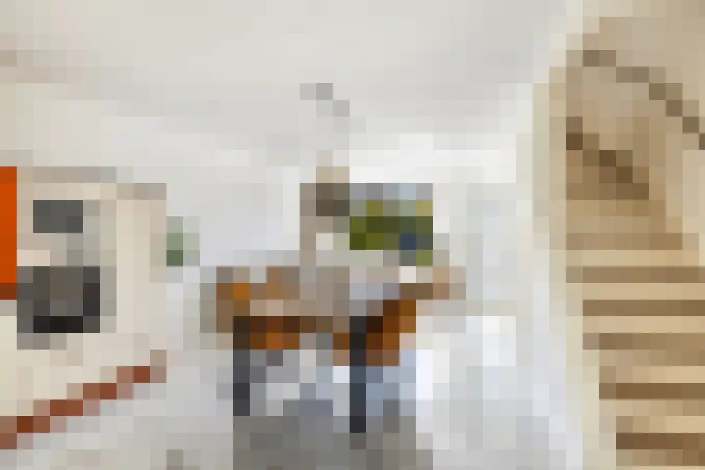 Weegbree 48 Gouderak thumbnail 21
