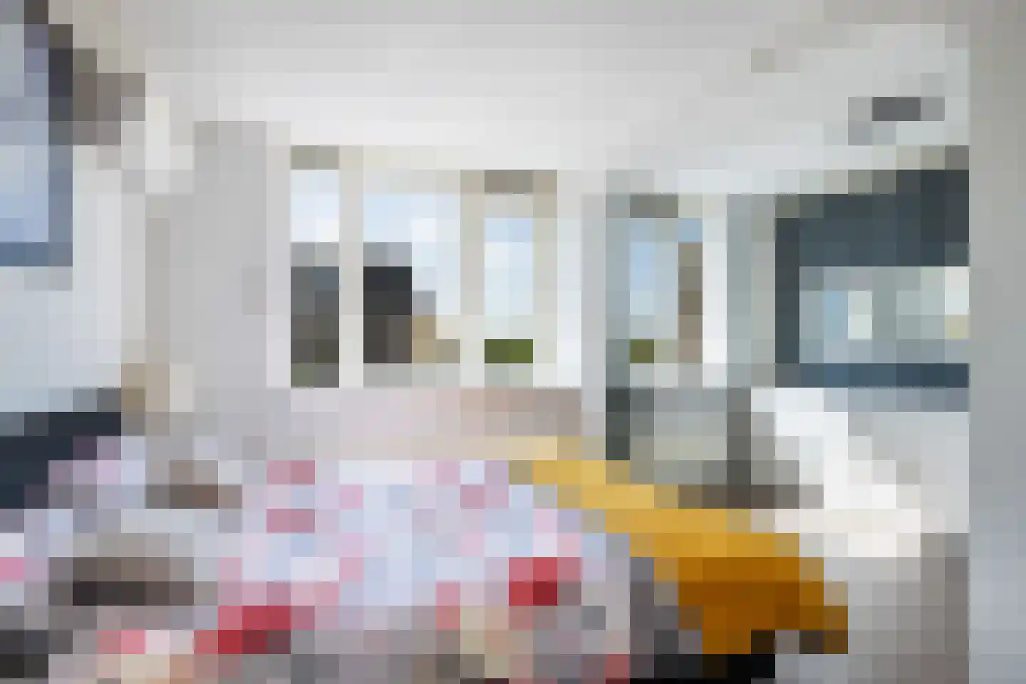 Weegbree 48 Gouderak thumbnail 34