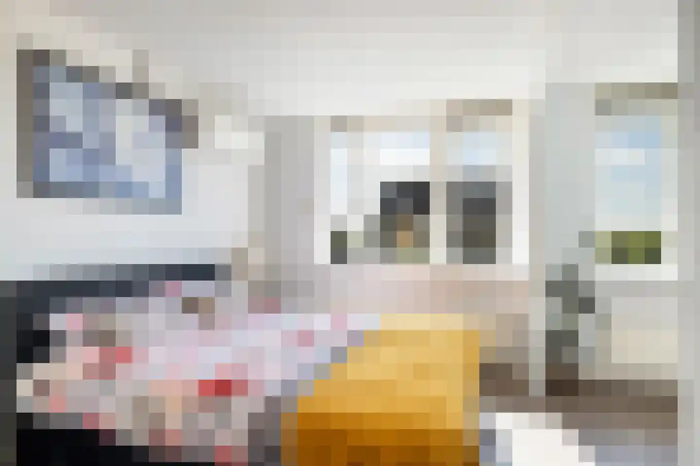 Weegbree 48 Gouderak thumbnail 35
