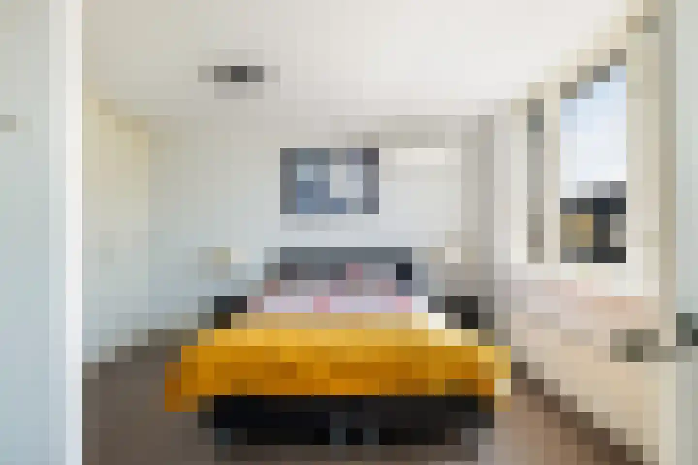 Weegbree 48 Gouderak thumbnail 37