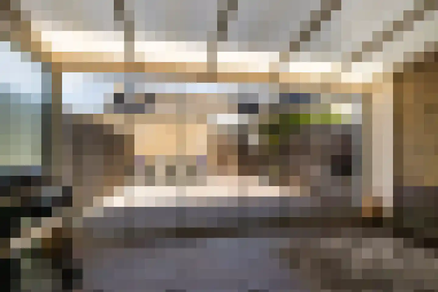 Weegbree 48 Gouderak thumbnail 4