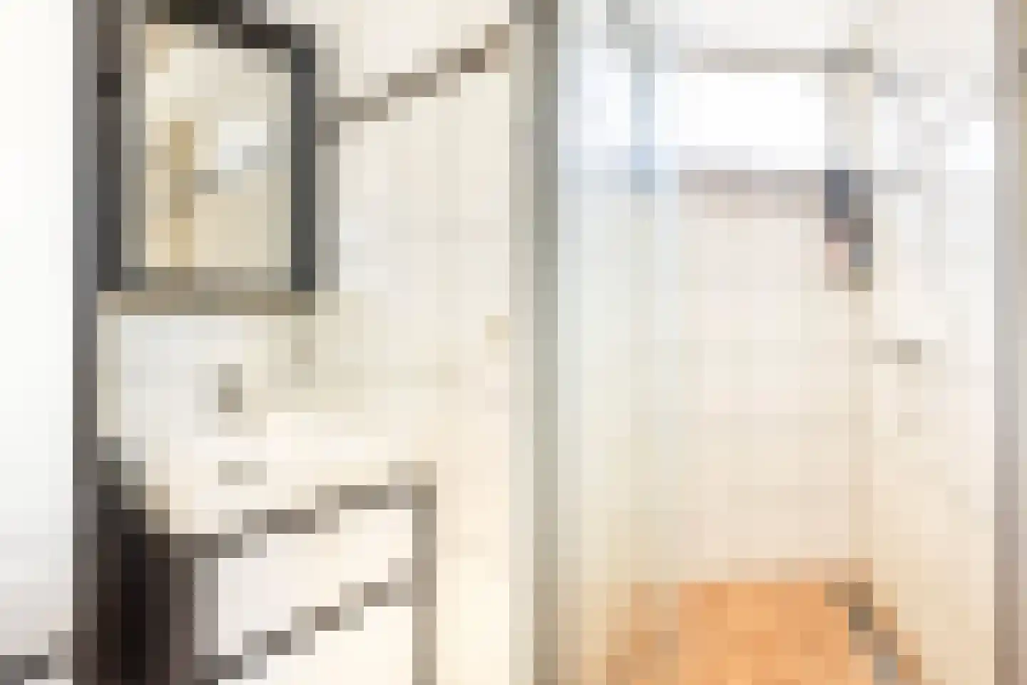 Weegbree 48 Gouderak thumbnail 41