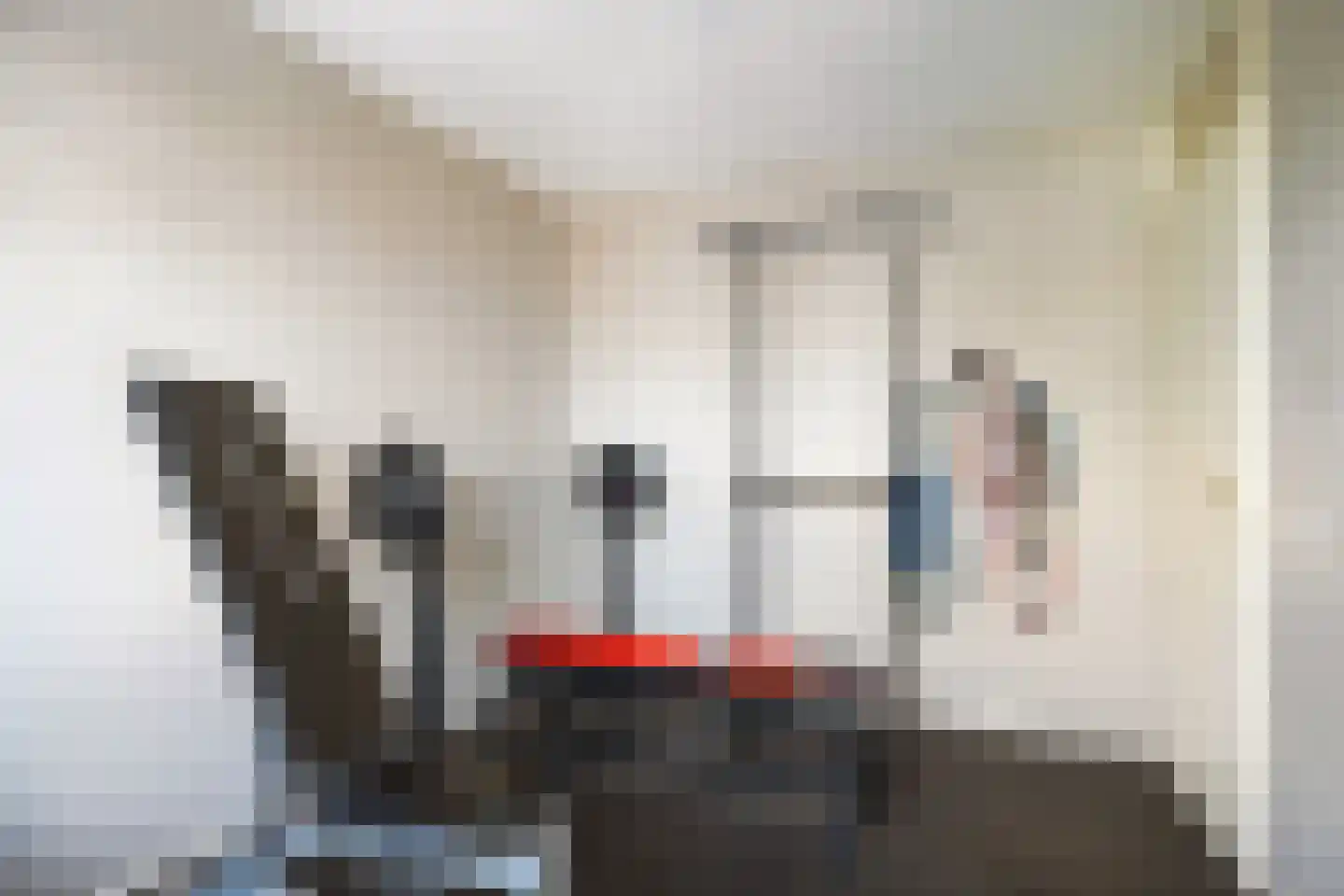 Weegbree 48 Gouderak thumbnail 48