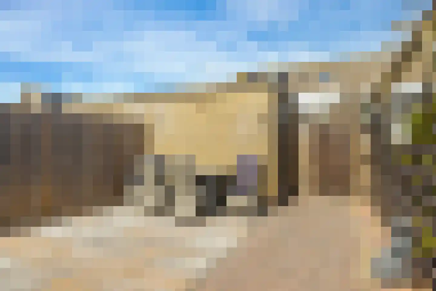 Weegbree 48 Gouderak thumbnail 57