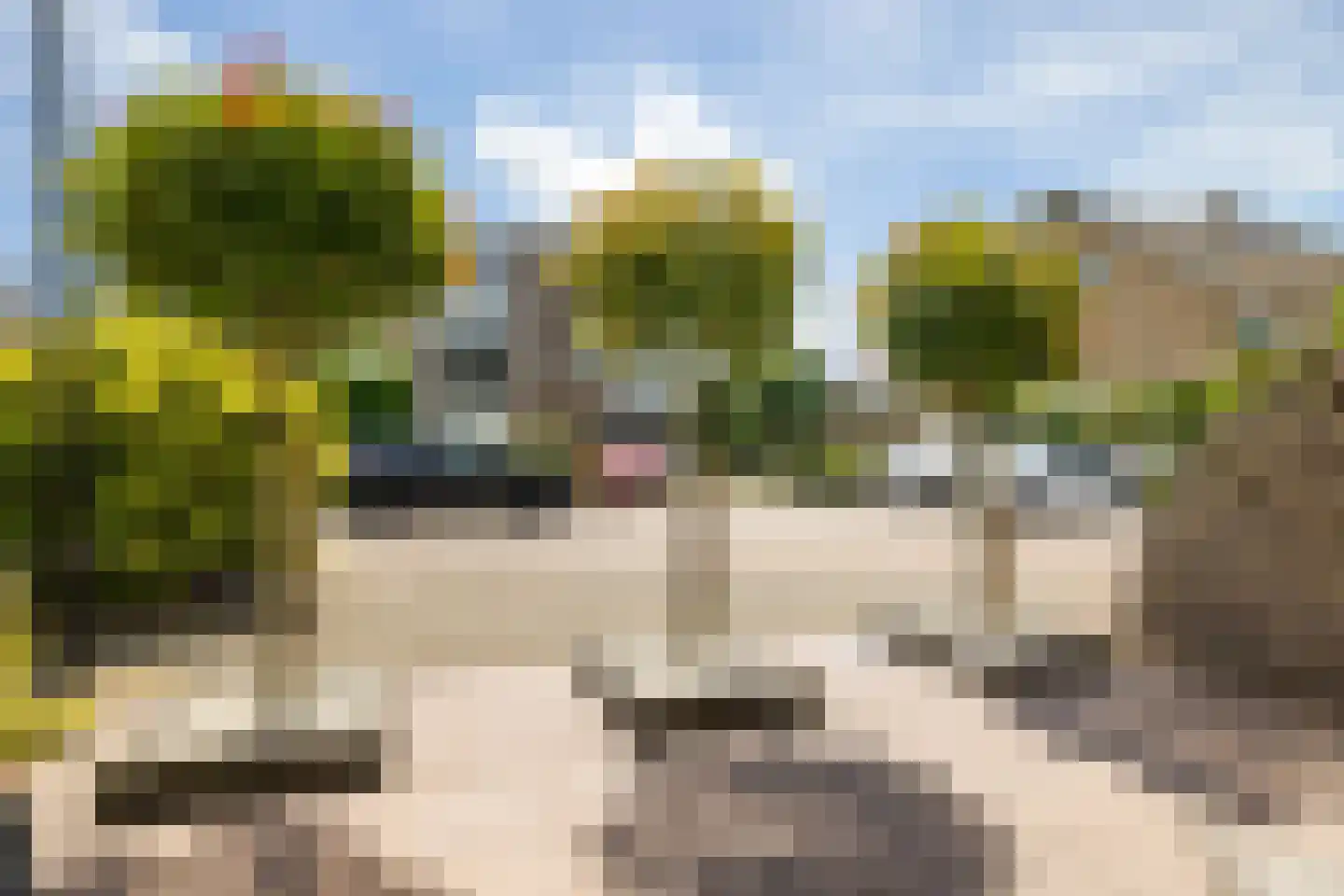 Weegbree 48 Gouderak thumbnail 58