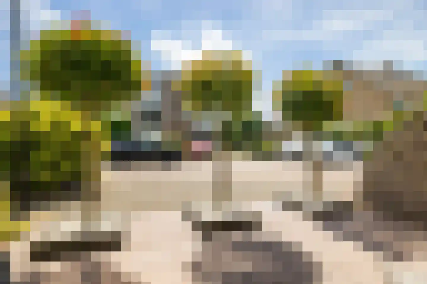 Weegbree 48 Gouderak thumbnail 59