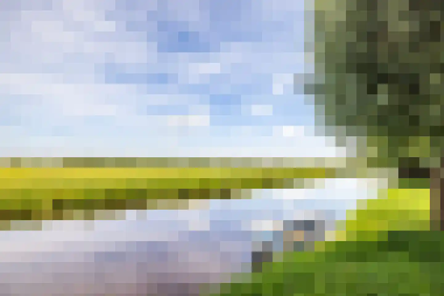 Weegbree 48 Gouderak thumbnail 62