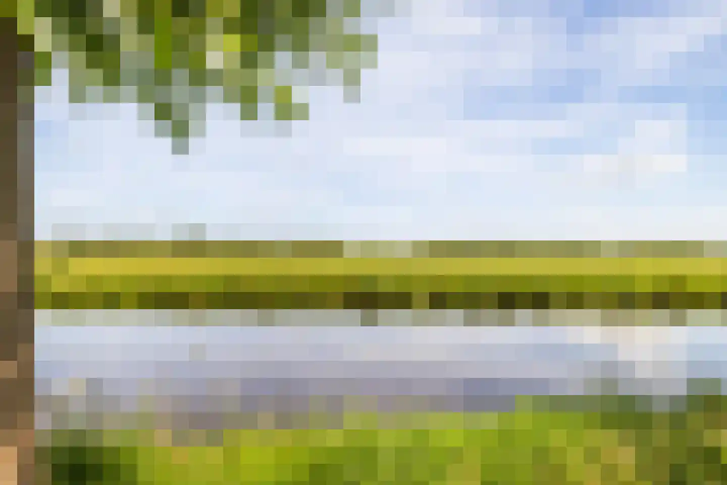 Weegbree 48 Gouderak thumbnail 63