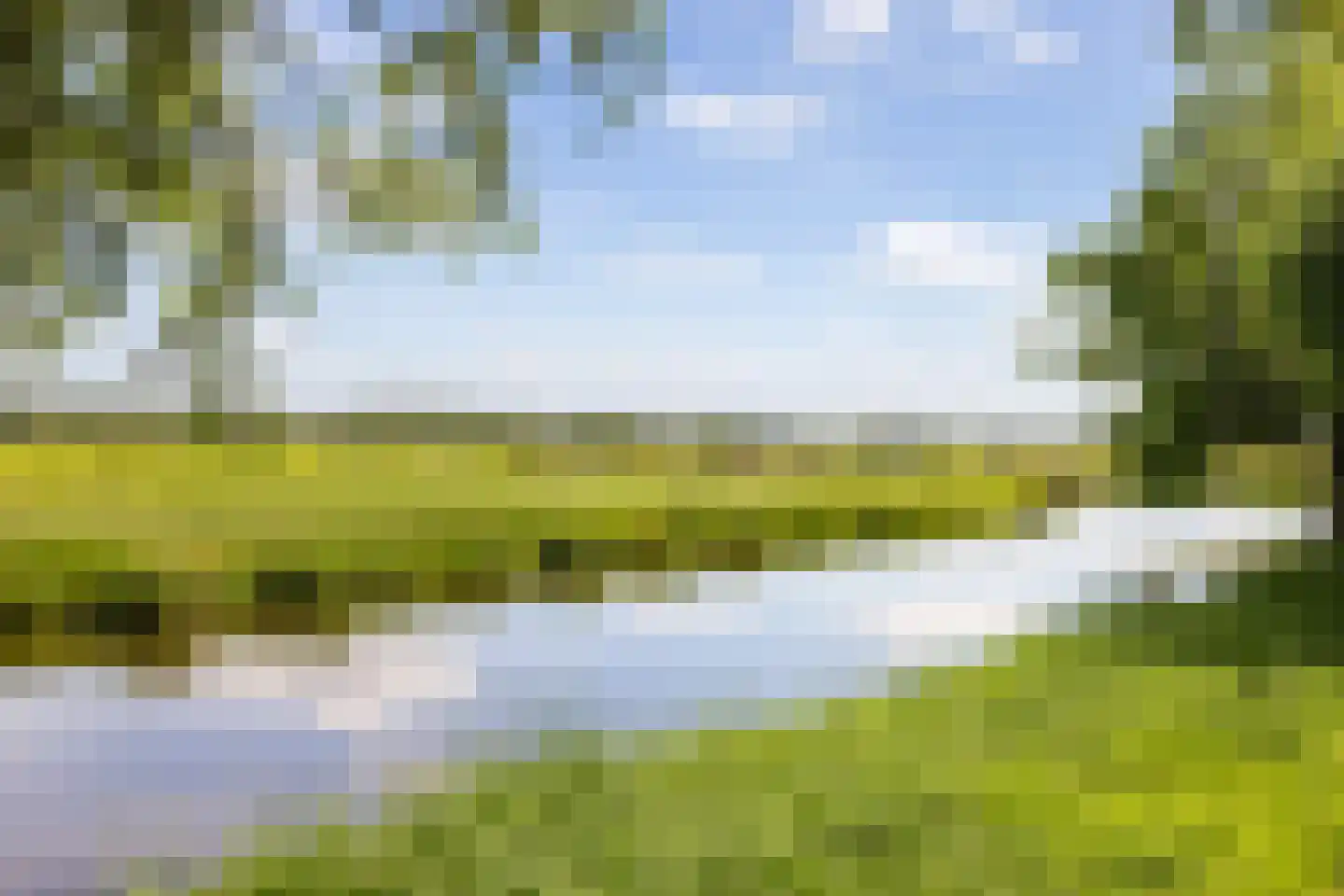 Weegbree 48 Gouderak thumbnail 64