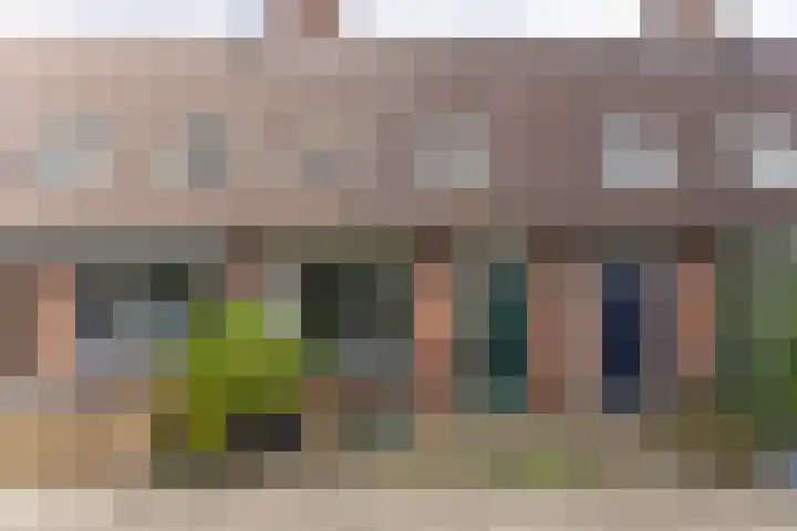 Weegbree 49 Zwaag