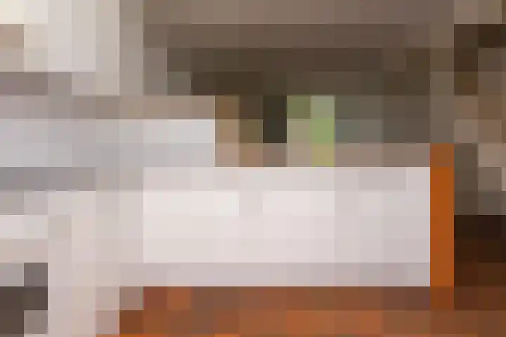 Weegbree 49 Zwaag thumbnail 13