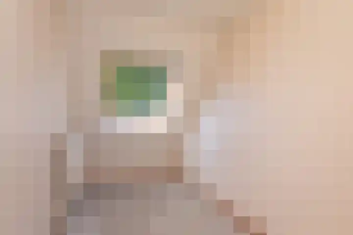 Weegbree 49 Zwaag thumbnail 23