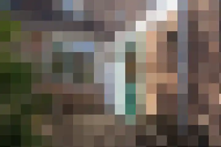 Weegbree 49 Zwaag thumbnail 32