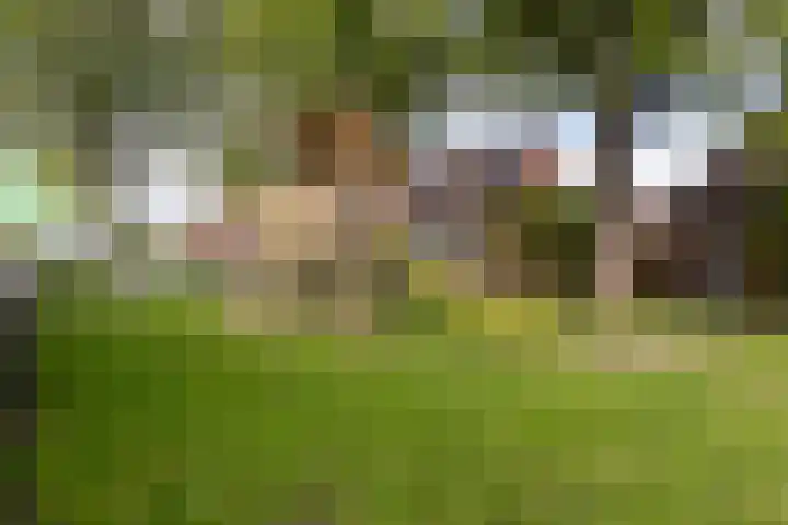Weegbree 49 Zwaag thumbnail 34