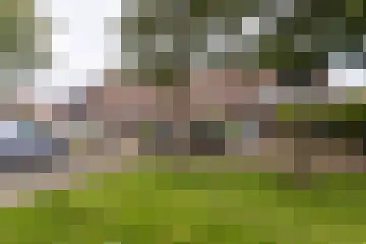 Weegbree 49 Zwaag thumbnail 35