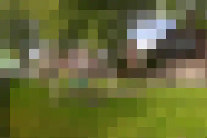 Weegbree 49 Zwaag thumbnail 36