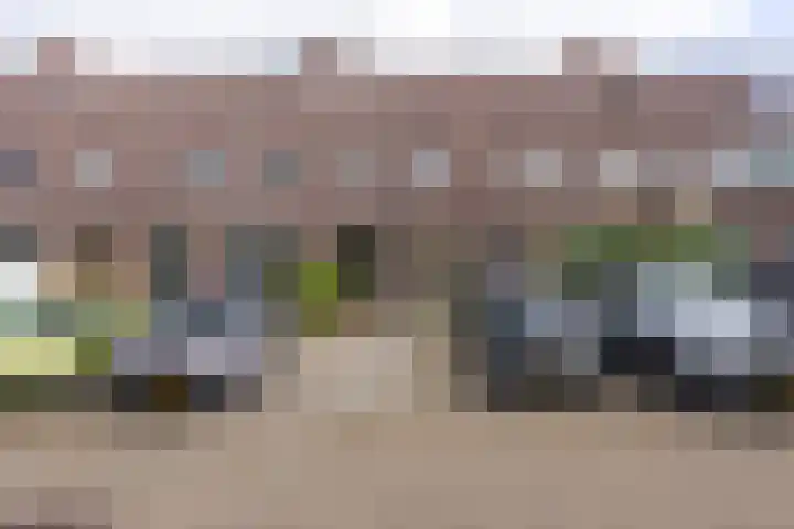 Weegbree 49 Zwaag thumbnail 5