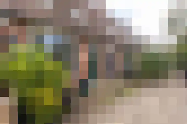 Weegbree 49 Zwaag thumbnail 6