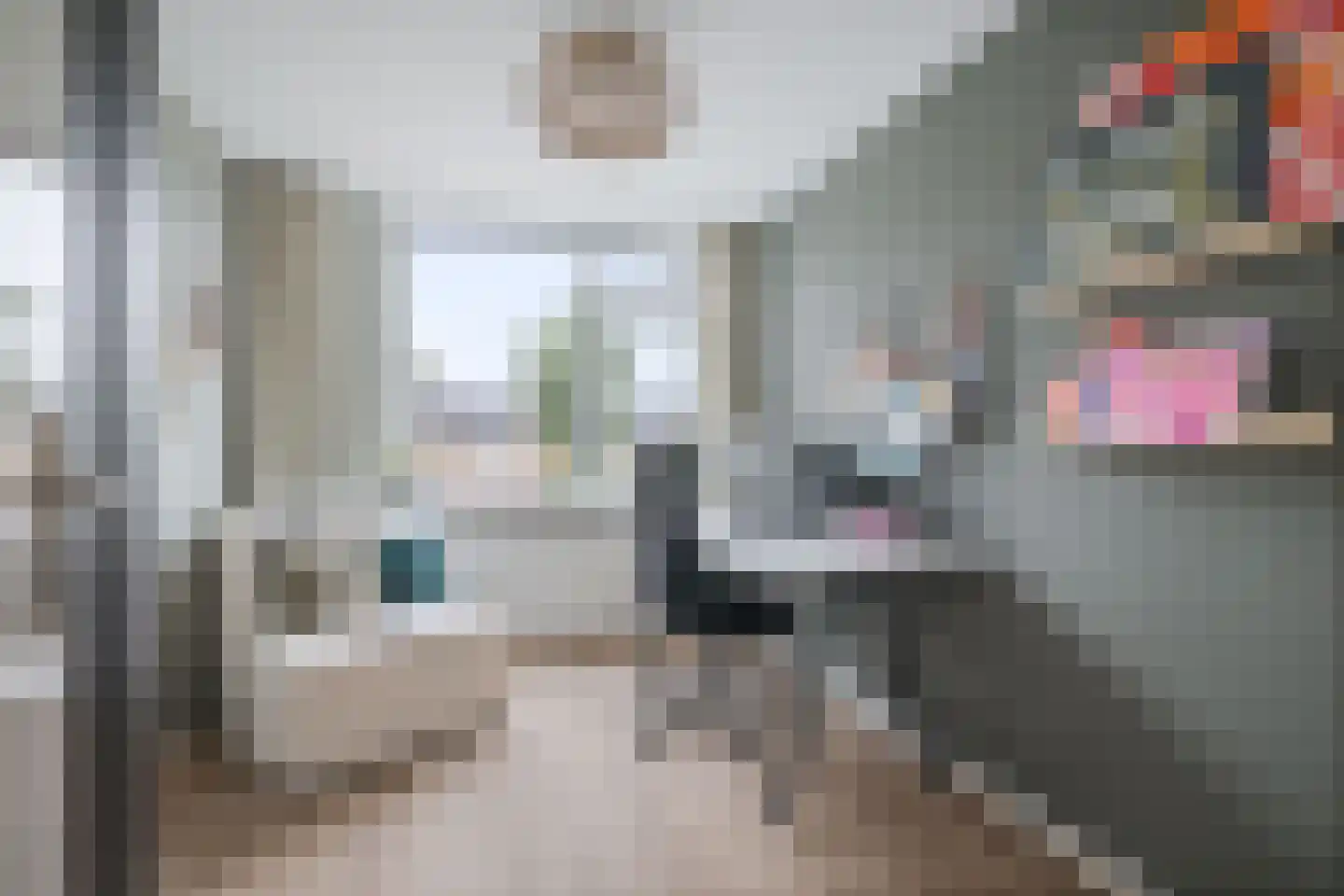 Weegbree 5 Apeldoorn thumbnail 19