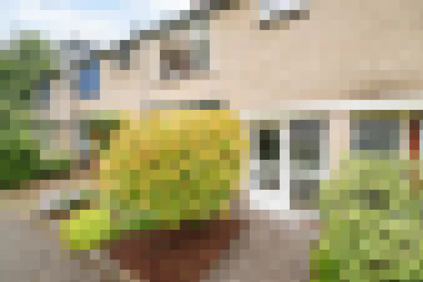 Weegbree 5 Apeldoorn thumbnail 4
