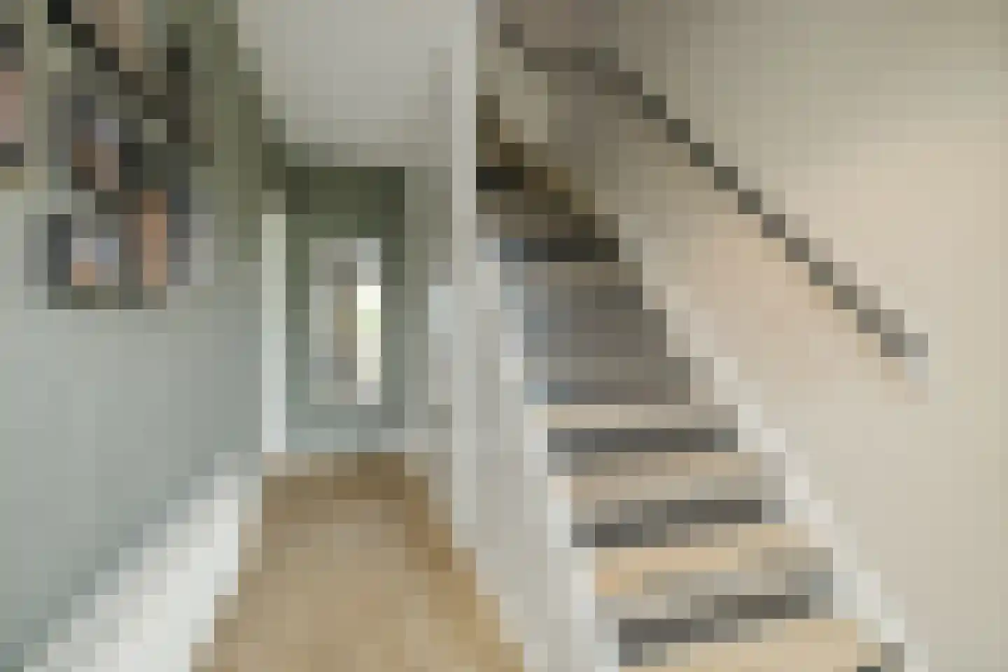 Weegbree 5 Apeldoorn thumbnail 5