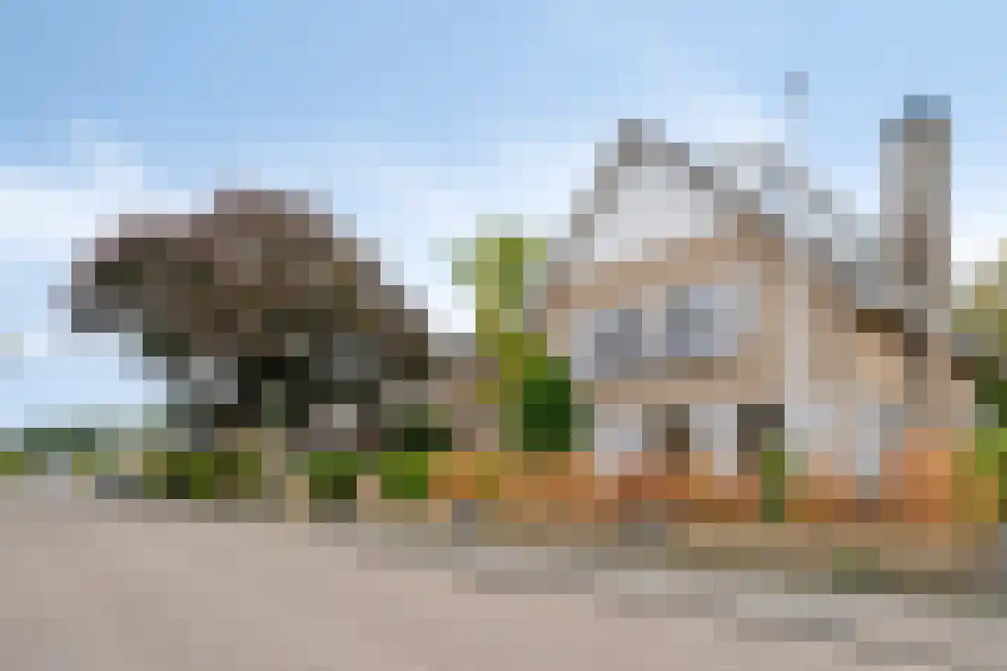 Weegbree 5 Best thumbnail 10
