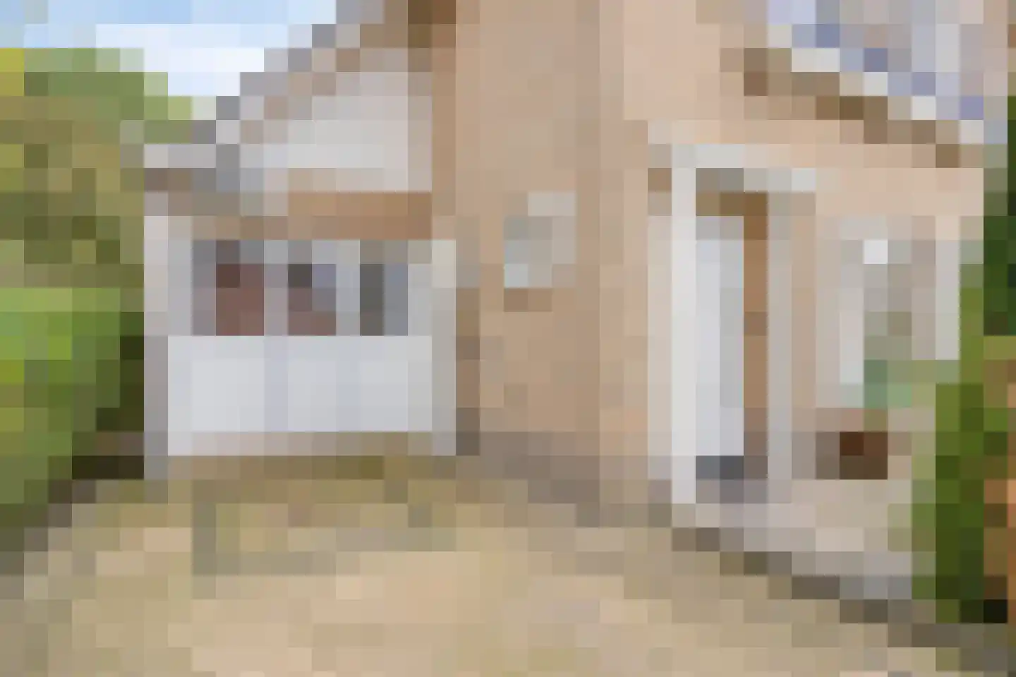 Weegbree 5 Best thumbnail 11